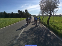 170211_Th_Mallorca__704173