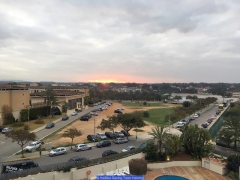 170211_Th_Mallorca__707180