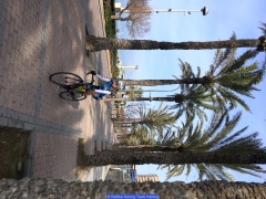 170211_Th_Mallorca__712084