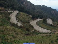 170211_Th_Mallorca__712589