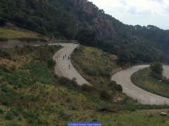 170211_Th_Mallorca__712690