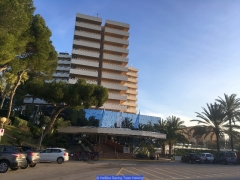 170211_Th_Mallorca__7137100