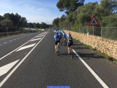 170211_Th_Mallorca__7178139