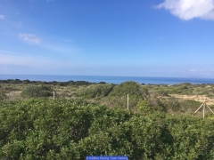 170211_Th_Mallorca__7208166