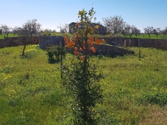 180217_Mallorca_20180215-WA001115