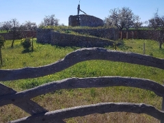 180217_Mallorca_20180215-WA001418