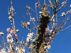 180217_Mallorca_20180215-WA001822