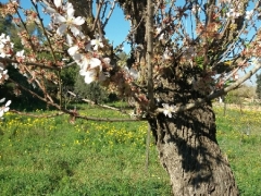 180217_Mallorca_20180215-WA002125