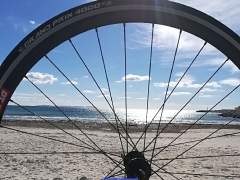 180217_Mallorca_20180215-WA002731