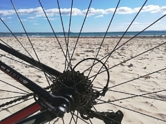 180217_Mallorca_20180215-WA003034