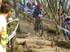 OLYMPUS DIGITAL CAMERA