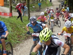 OLYMPUS DIGITAL CAMERA