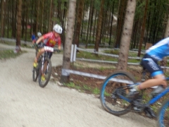 OLYMPUS DIGITAL CAMERA