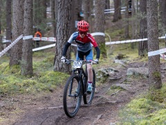 ÖMtbF 23 - U13 - U17