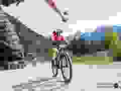 MB9_1655-9-459-9-81