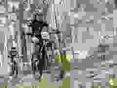 MB9_1751-9-480-9-365