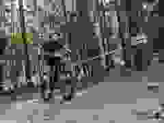 MB9_1805-9-496-9-96