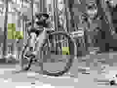 MB9_1868-9-516-9-112