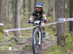 schoenherr-20240520-0294