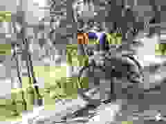 U15