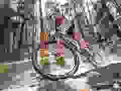 MB9_0983-9-216-9-230
