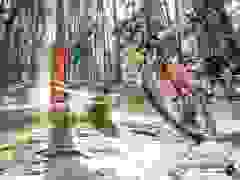 MB9_0993-9-224-9-39