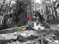 MB9_1014-9-232-9-234