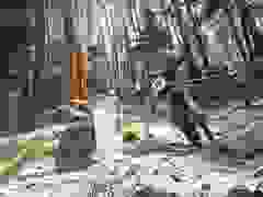 MB9_1020-9-234-9-235