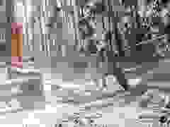 MB9_1057-9-256-9-41
