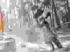 MB9_1058-9-257-9-42
