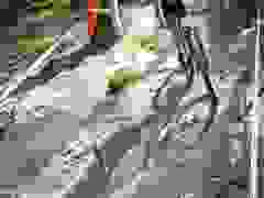 MB9_1106-9-274-9-257
