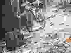 MB9_1128-9-280-9-260