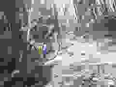 MB9_1130-9-281-9-261