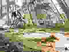 MB9_1138-9-283-9-43
