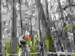 MB9_1141-9-284-9-263