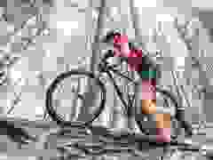 MB9_1157-9-285-9-264