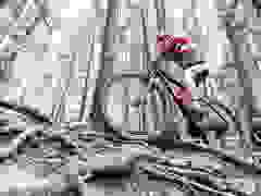 MB9_1293-9-328-9-292