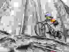 MB9_1307-9-335-9-298