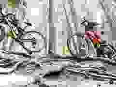 MB9_1377-9-358-9-48