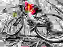MB9_1420-9-378-9-323