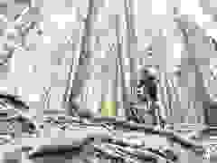 MB9_1422-9-379-9-324
