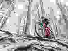 MB9_1424-9-380-9-325