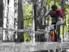 DSC01989