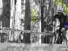 DSC02000