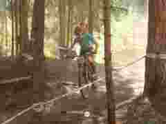 Z9A7817