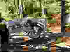 Z9A8022