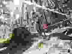 MB9_0532-9-80-9-13