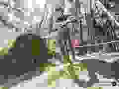 MB9_0536-9-82-9-14