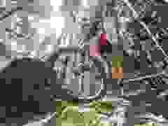 MB9_0549-9-86-9-170