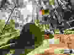 MB9_0594-9-99-9-15